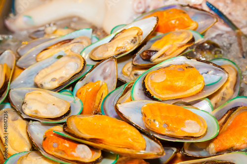 Fresh New Zealand green mussel ready for order