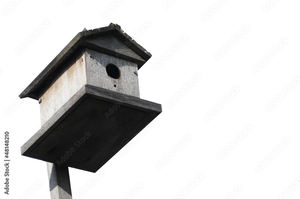 Bird House