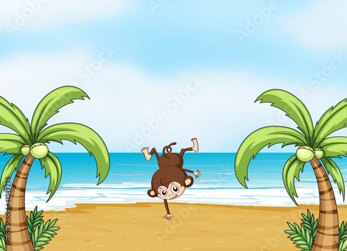 A monkey dancing on a beach