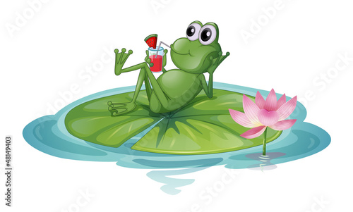A frog relaxing on a leaf