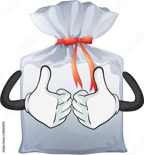 A pouch bag