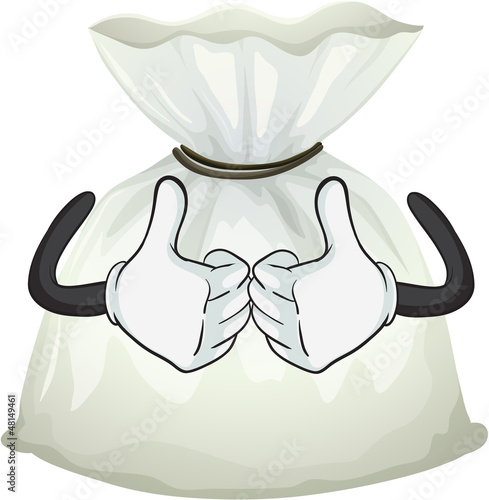 A pouch bag