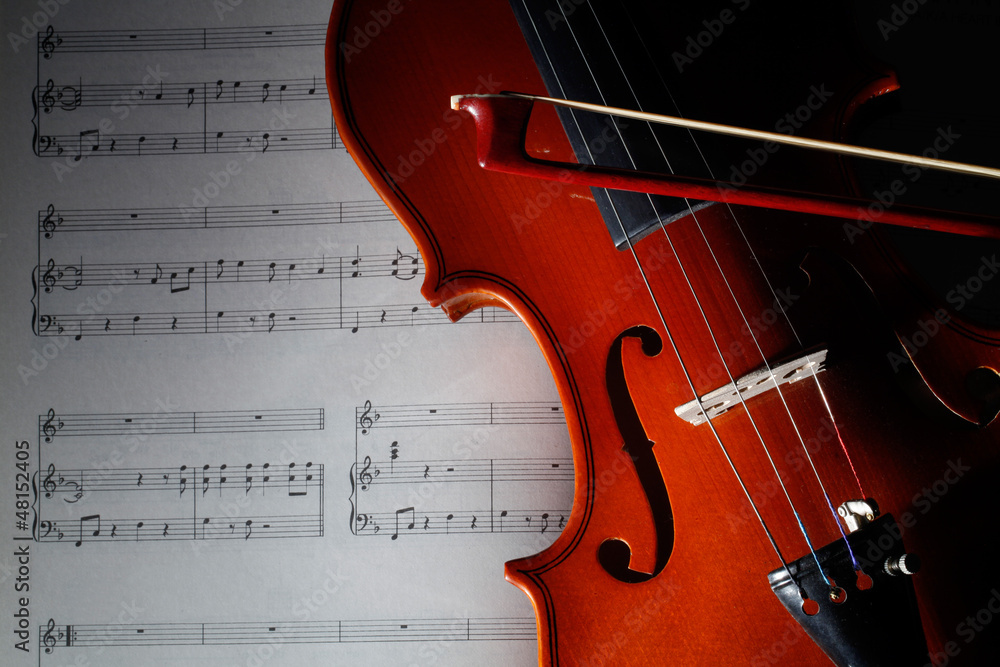 Fototapeta premium violino