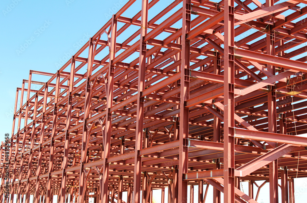 Building of the Plant with Pattern of Frame Building of the Plant with Pattern of Frame