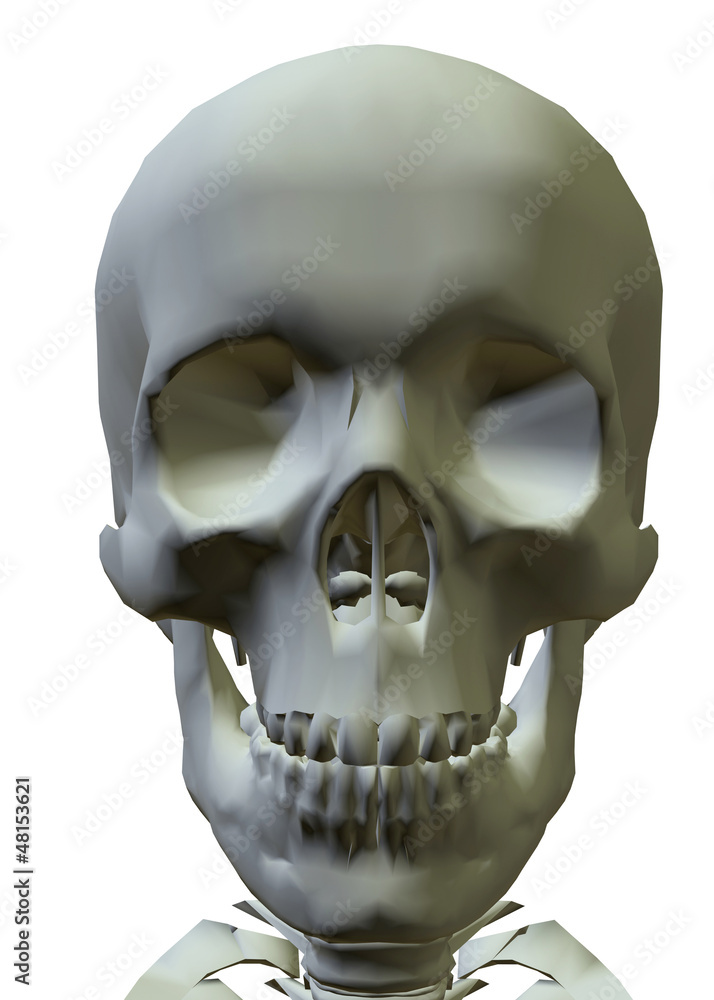 Obraz premium SKELETON - 3D