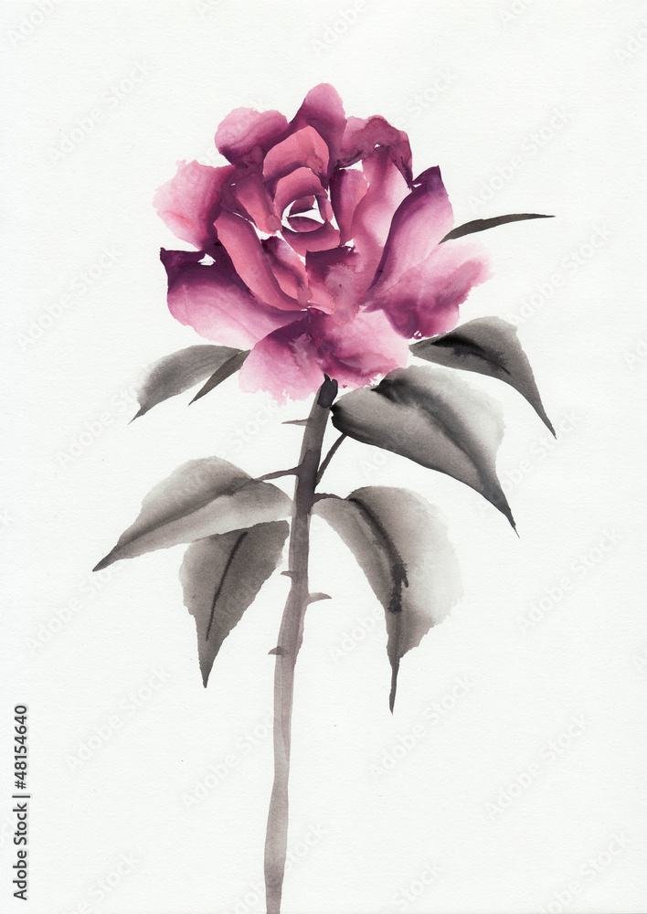 Naklejka premium Pink rose