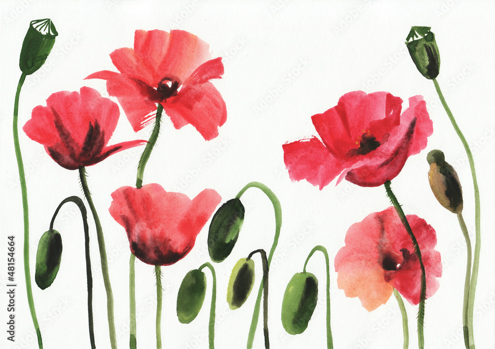 Obraz premium Watercolor painting of red poppies