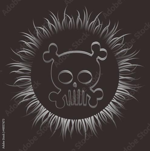 Fototapeta Naklejka Na Ścianę i Meble -  flaming skull grey