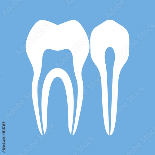 Teeth
