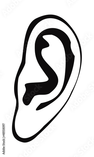 Human ear