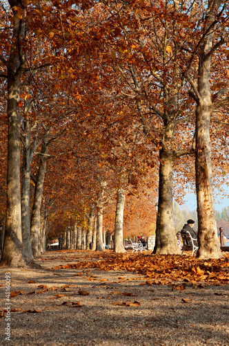 Autumn promenade at Lake Balaton, Hungary