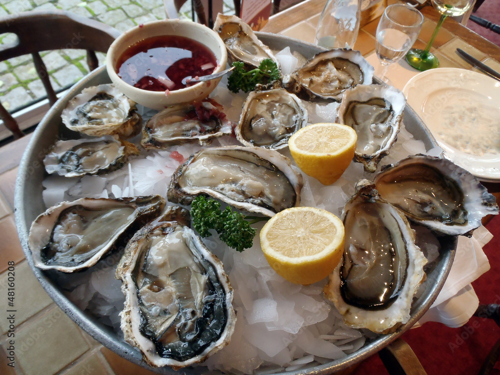 Oysters Oysters