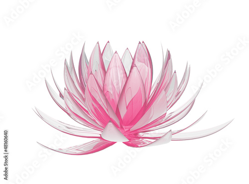 Fototapeta Naklejka Na Ścianę i Meble -  lotus flower on a white background