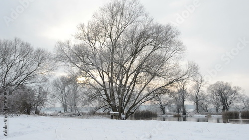 Wallpaper Mural Sonnenuntergang am Fluss Havel im Winter Torontodigital.ca