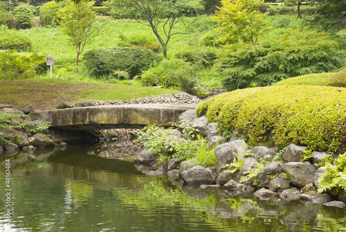 The bridge in Japanese garden