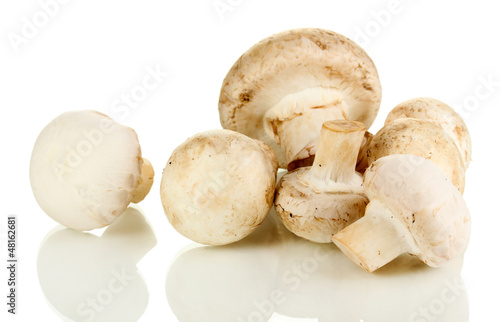 Fresh mushrooms isolated on white