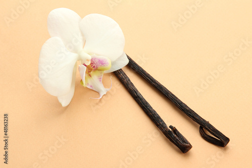 Vanilla pods with flower  on beige background