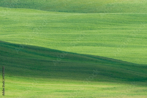 Verdi colline © click
