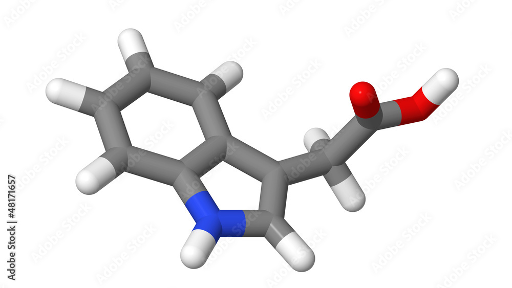 Plant hormone - Auxins - IAA - sticks molecular model Plant hormone - Auxins - IAA - sticks molecular model