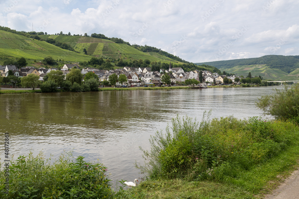 German river Moselle with view at village Zell German river Moselle with view at village Zell
