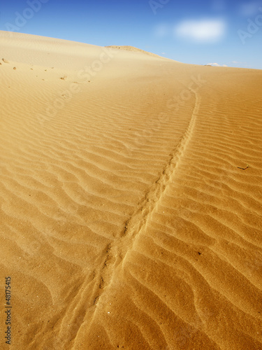 sand desert landscape