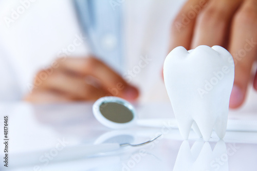 dentist holding molar,dental concept photo