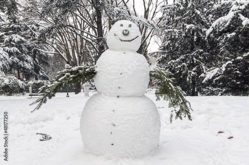 snowman in a garden photo