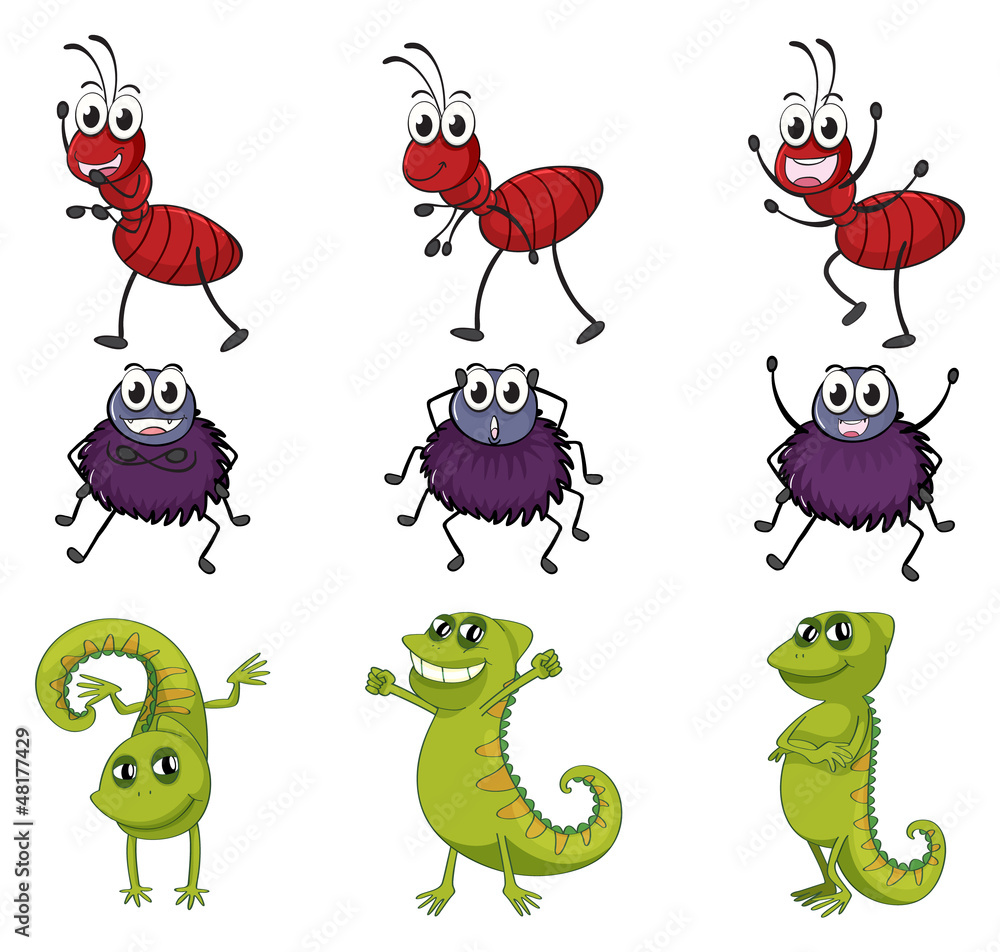 Obraz premium A spider, a chameleon and an ant