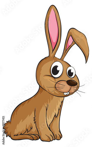 A smiling rabbit