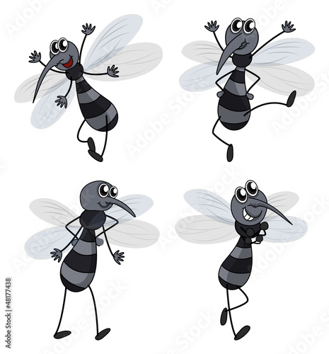 Four mosquitoes