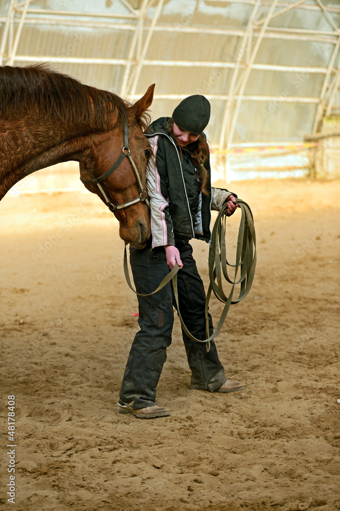 Fototapeta premium Horse