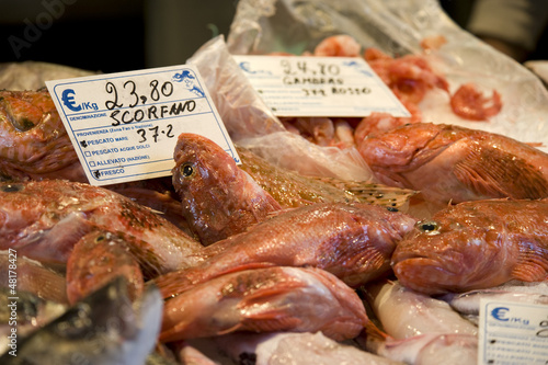 Scorfano, fish market