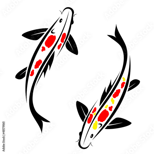 Carp koi