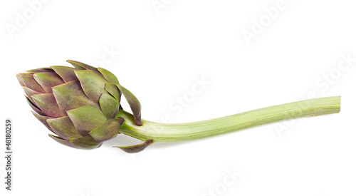 Obraz na płótnie artichoke