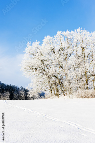 winter landscape, Czech Republic