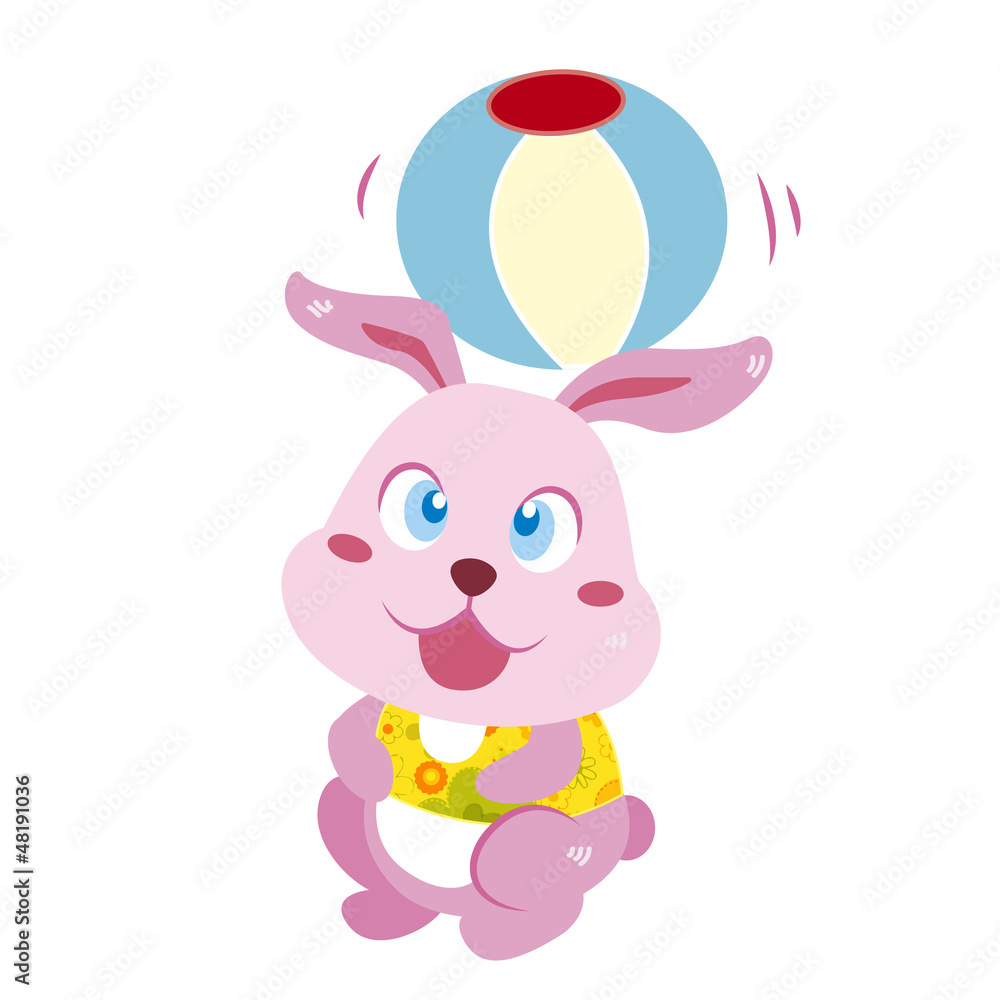 a rabbit's beach activities a rabbit's beach activities
