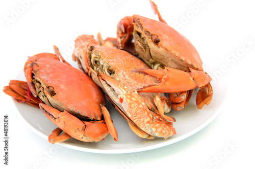 cooked crabs on plate
