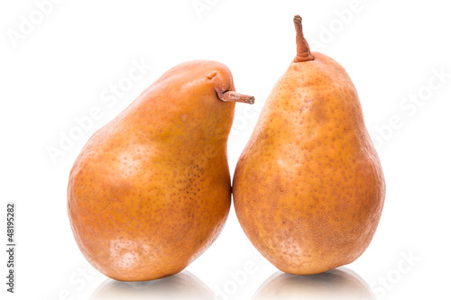 Two yellow pears
