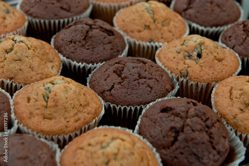 Blueberry and Chocolate Muffins
