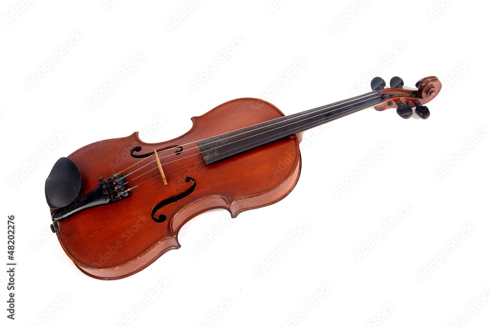 Fototapeta premium violin