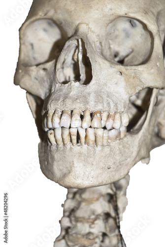 Human skull  isolated © Gandolfo Cannatella