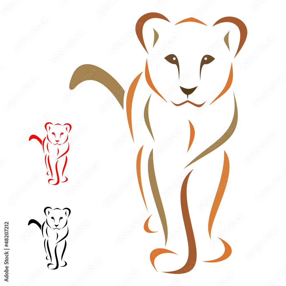 Naklejka premium Female lion standing facing - vector