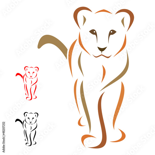 Fototapeta Naklejka Na Ścianę i Meble -  Female lion standing facing - vector