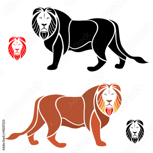 Fototapeta Naklejka Na Ścianę i Meble -  The male lion on a white background - vector