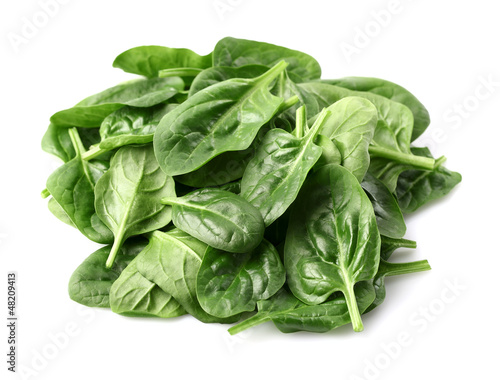 Fresh baby spinach