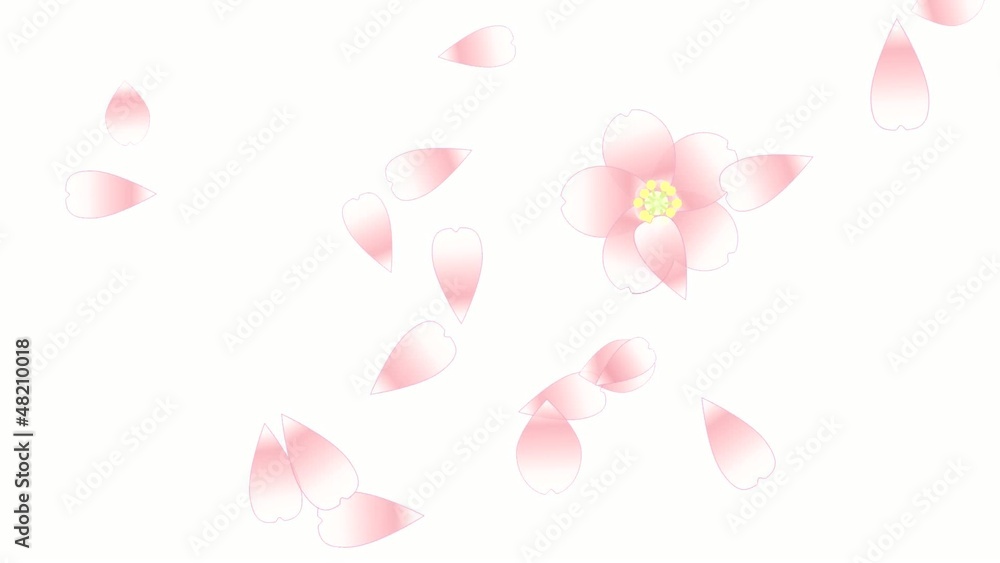 舞い桜04 舞い桜04
