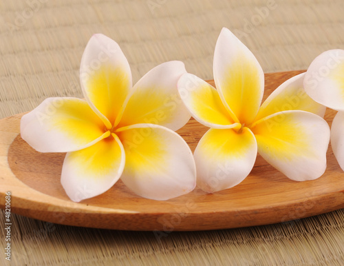 Frangipani and polished stone on bamboo mat