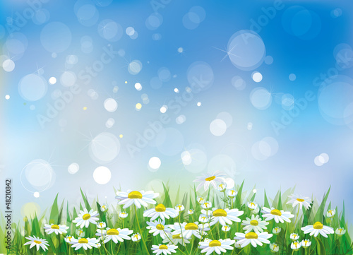 Vector of spring background