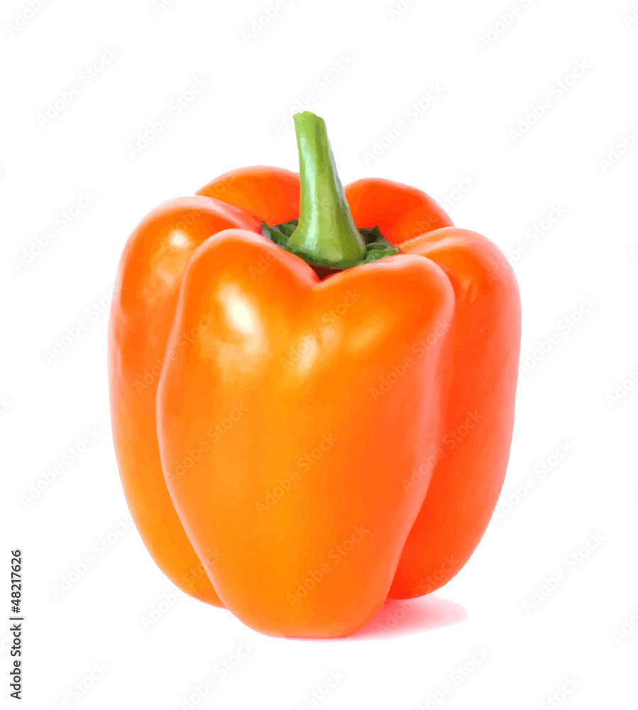 bell pepper, vector illustration bell pepper, vector illustration