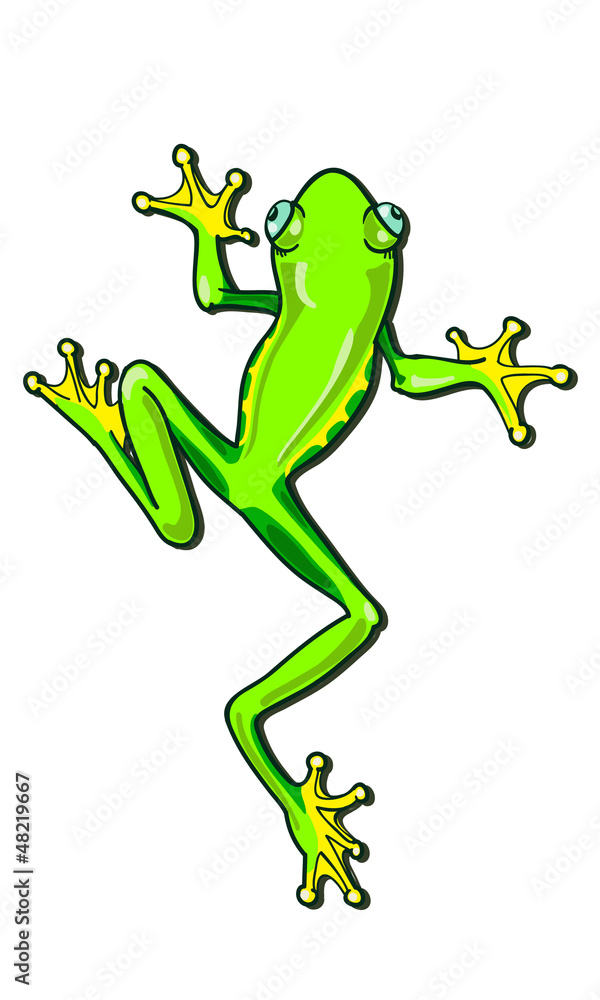 Naklejka premium frog